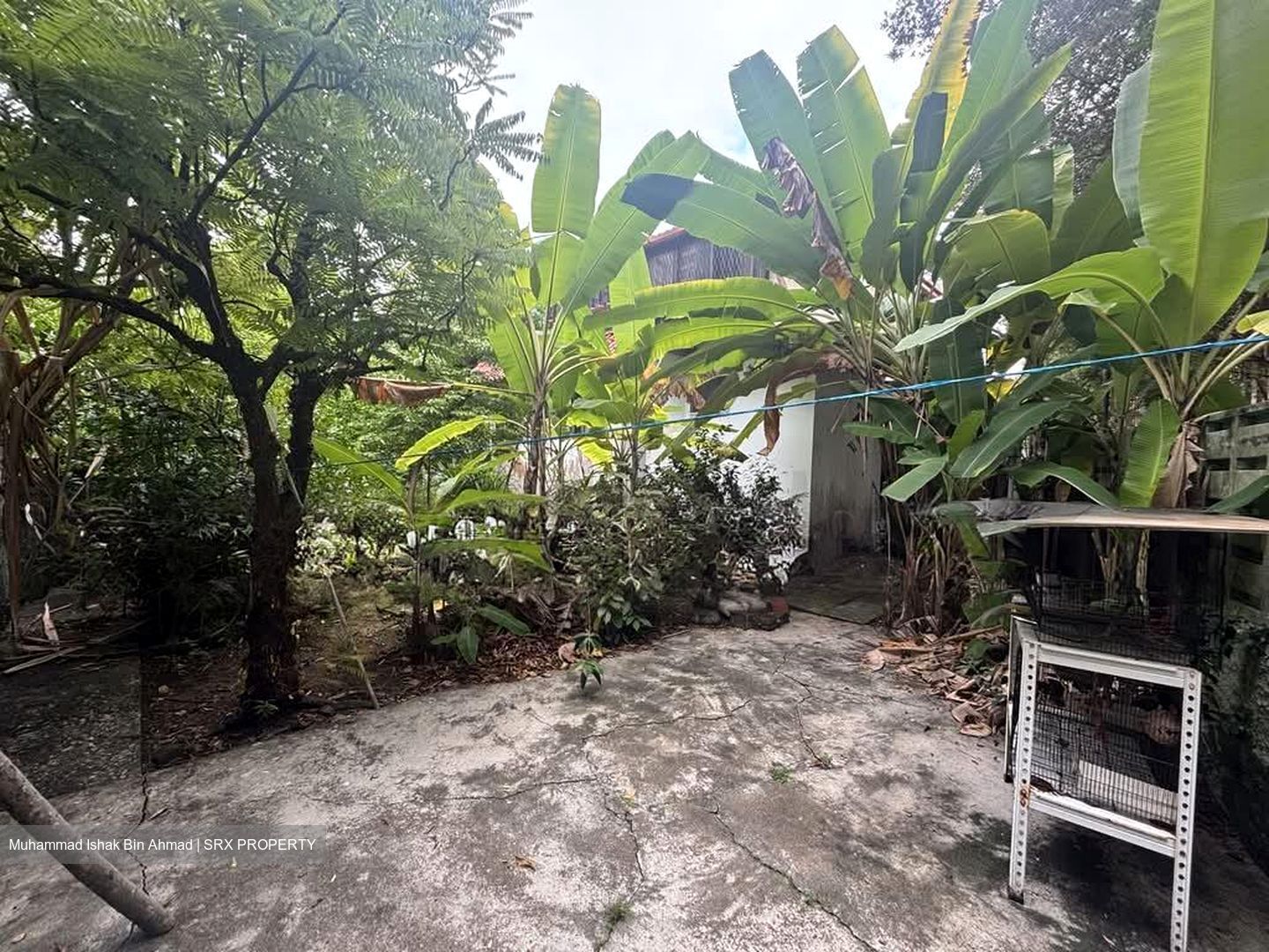 East Coast Avenue (D15), Detached #582356011